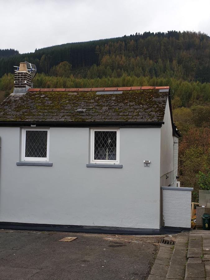 Riverside Cottage Treherbert エクステリア 写真